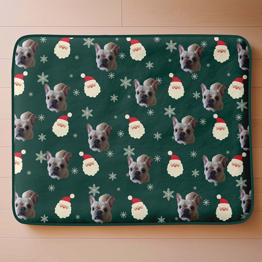 Custom Upload picture Christmas pet mat