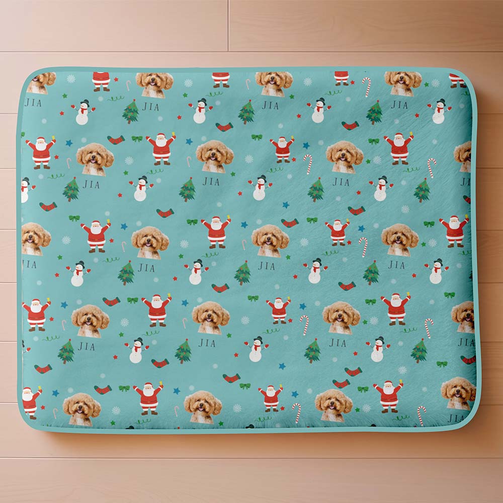 Custom dog mat and cat mat gift for Christmas