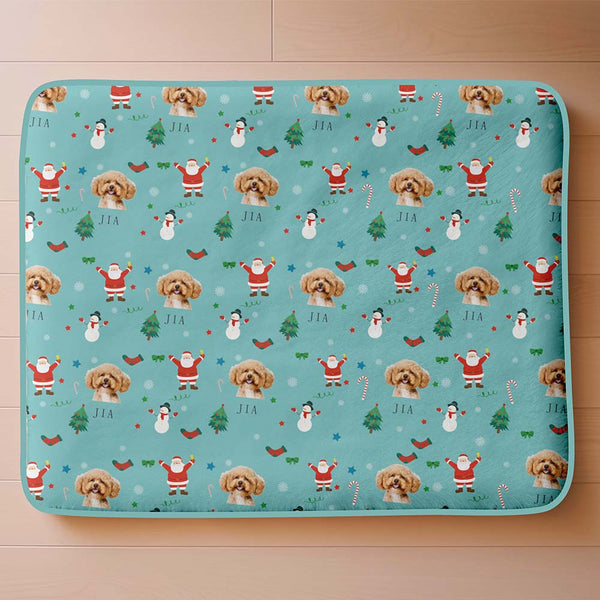 Christmas_pet_mat