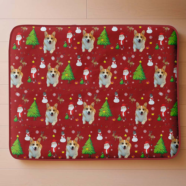 Christmas_pet_mat4