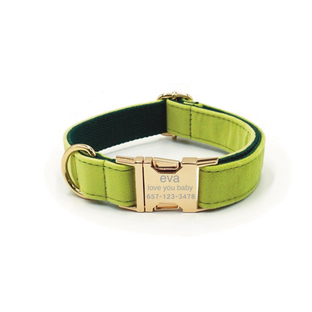 Custom Dog Collar With Leash Bow Tie Engraved Avocado Green Velvet