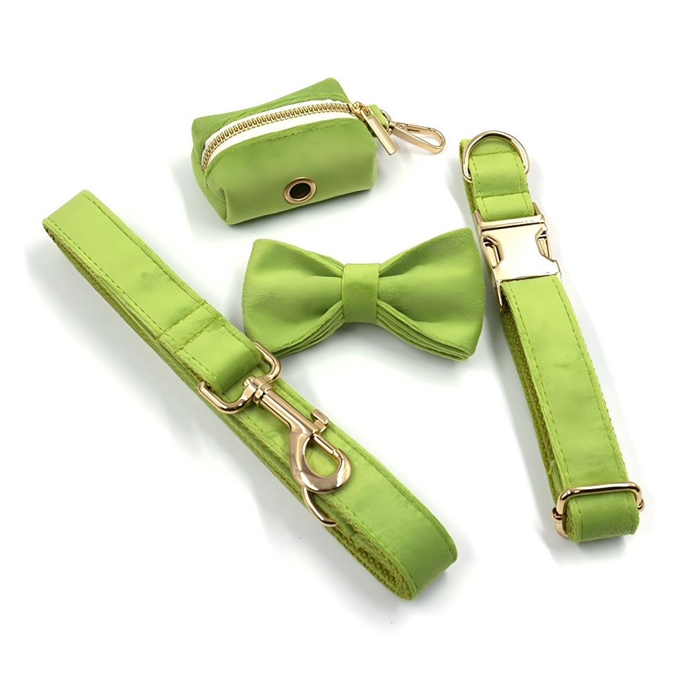 Custom Dog Collar With Leash Bow Tie Engraved Avocado Green Velvet