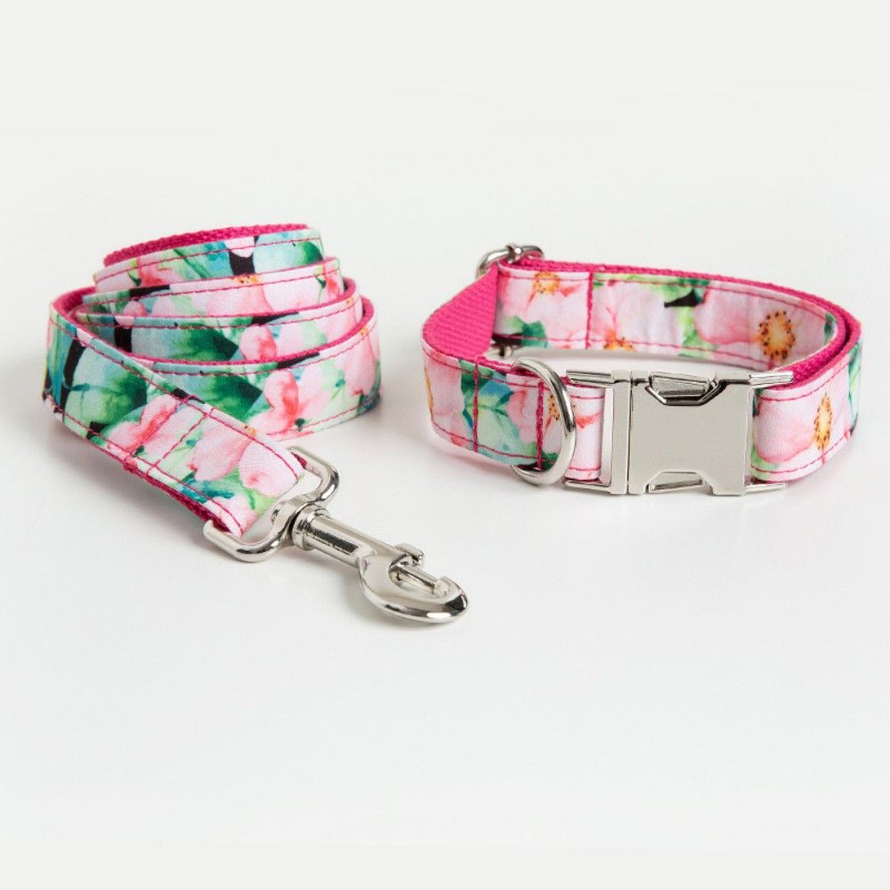 Custom Dog Collars with Name and Phone Number, Dog Gift