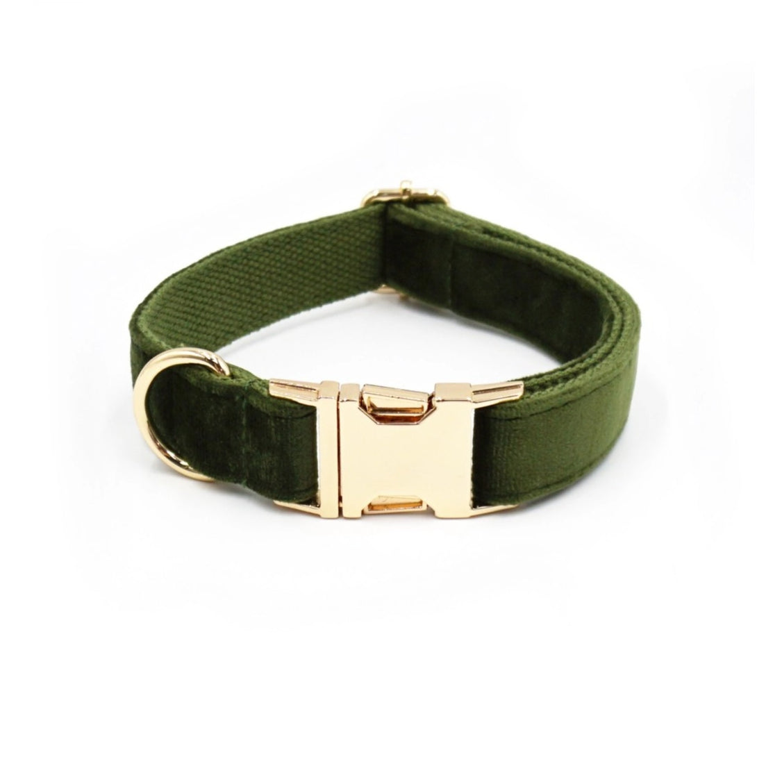 Custom Dog Collar With Leash Bow Tie Engraved Army Green Velvet