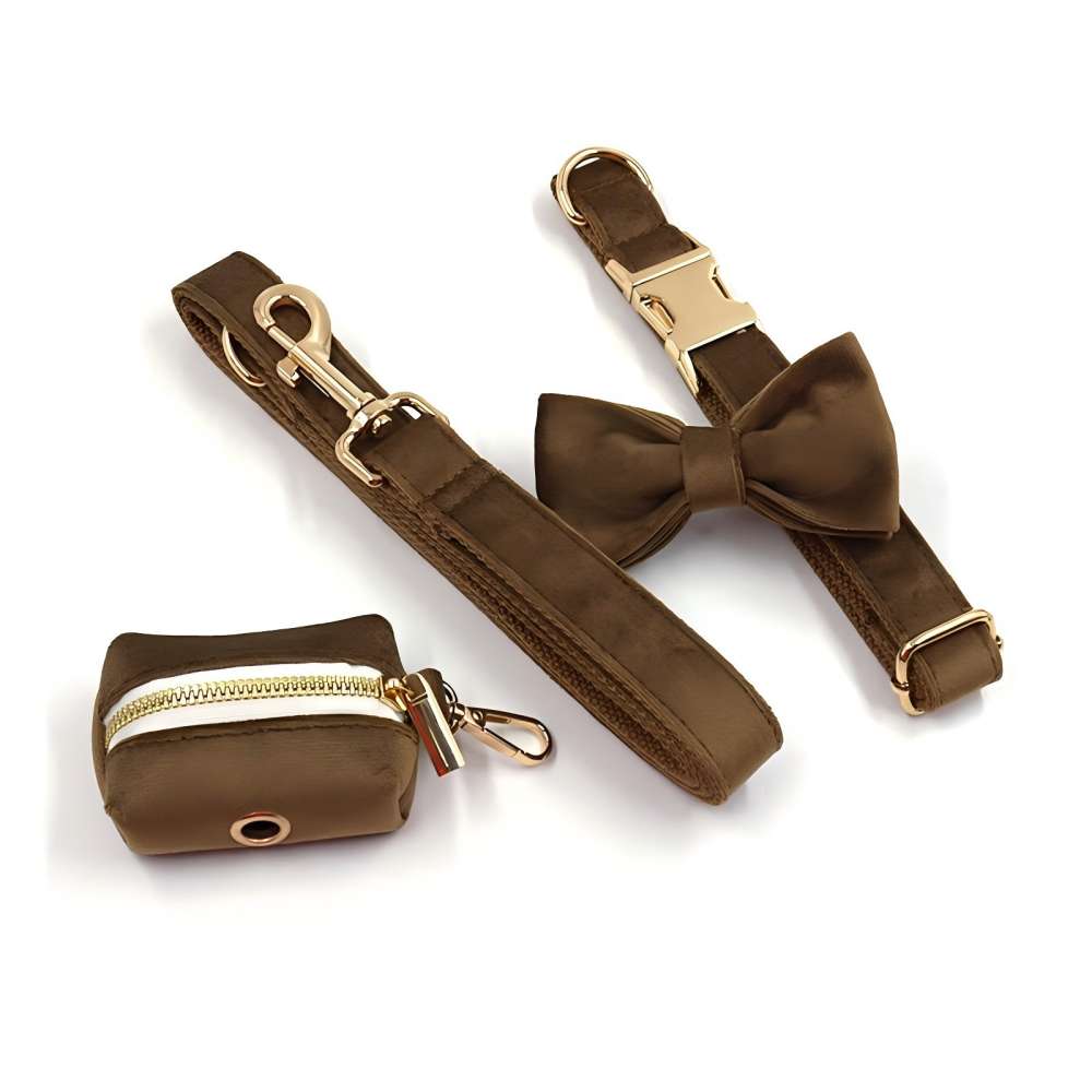 Personalized Dog Collar With Leash Bow Tie Engraved Brown Velvet