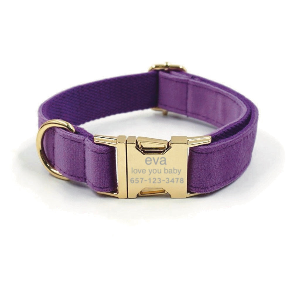 Custom Dog Collar With Leash Bow Tie Engraved Purple Velvet