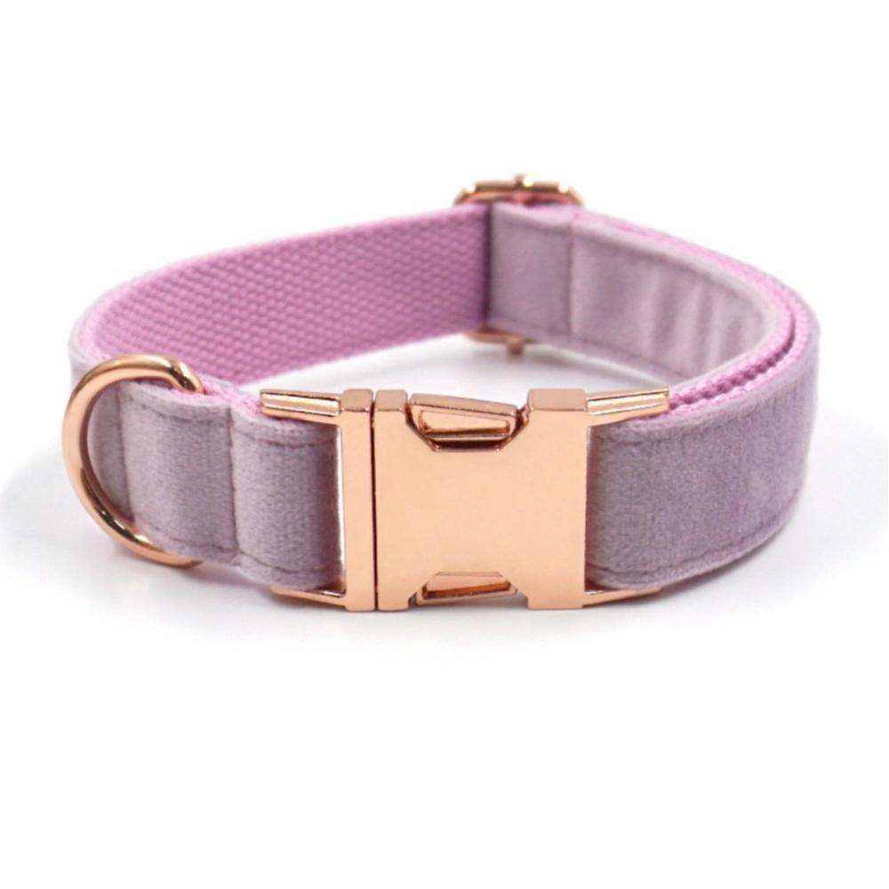 Personalized Dog Collar Engraved Rose Gold Metal Buckle  Lavender Blush Velvet