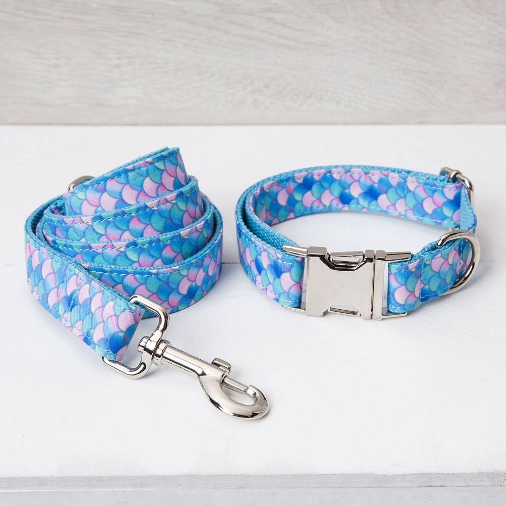 Personalized Dog collar&leash with print Engraved Metal Buckle