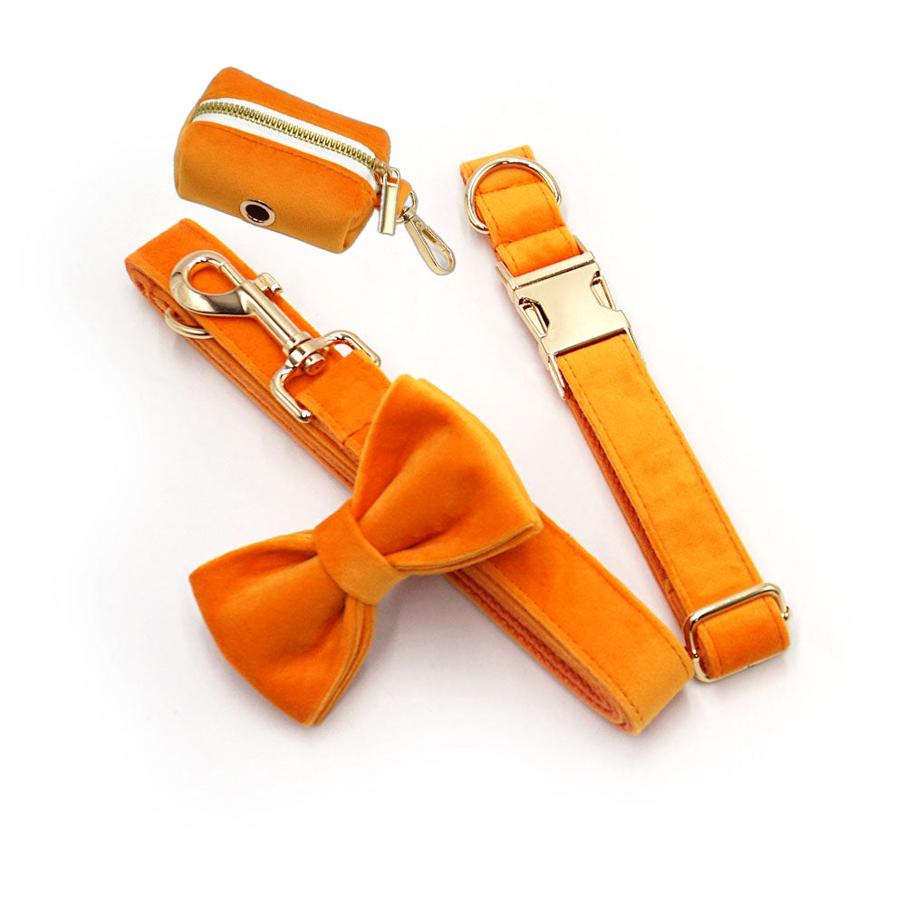 Custom Dog Collar With Leash Bow Tie Engraved Orange Velvet