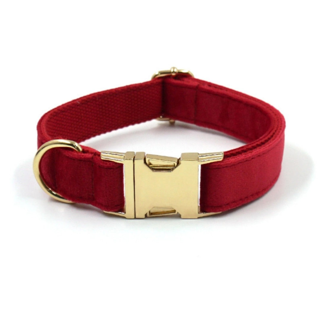 Custom Dog Collar With Leash Bow Tie Engraved Red Velvet