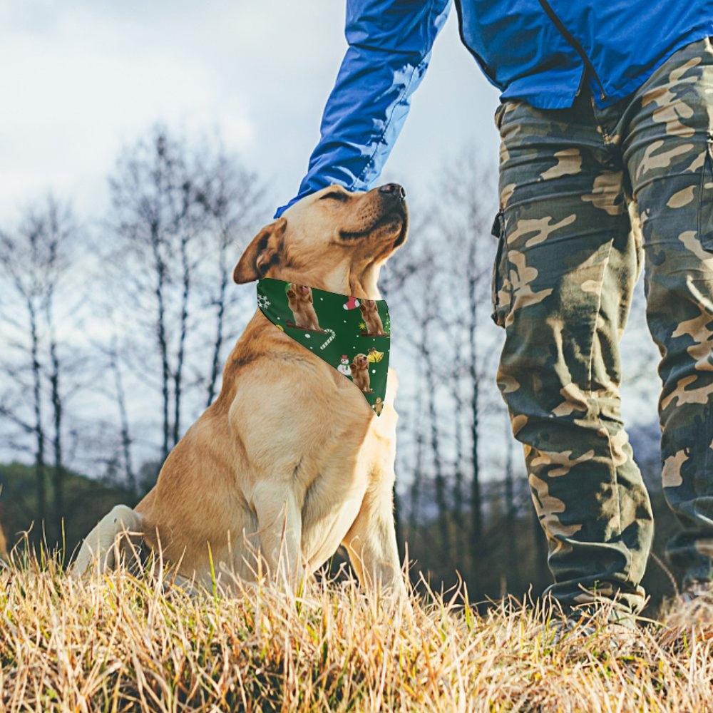 Upload Dog Bandana