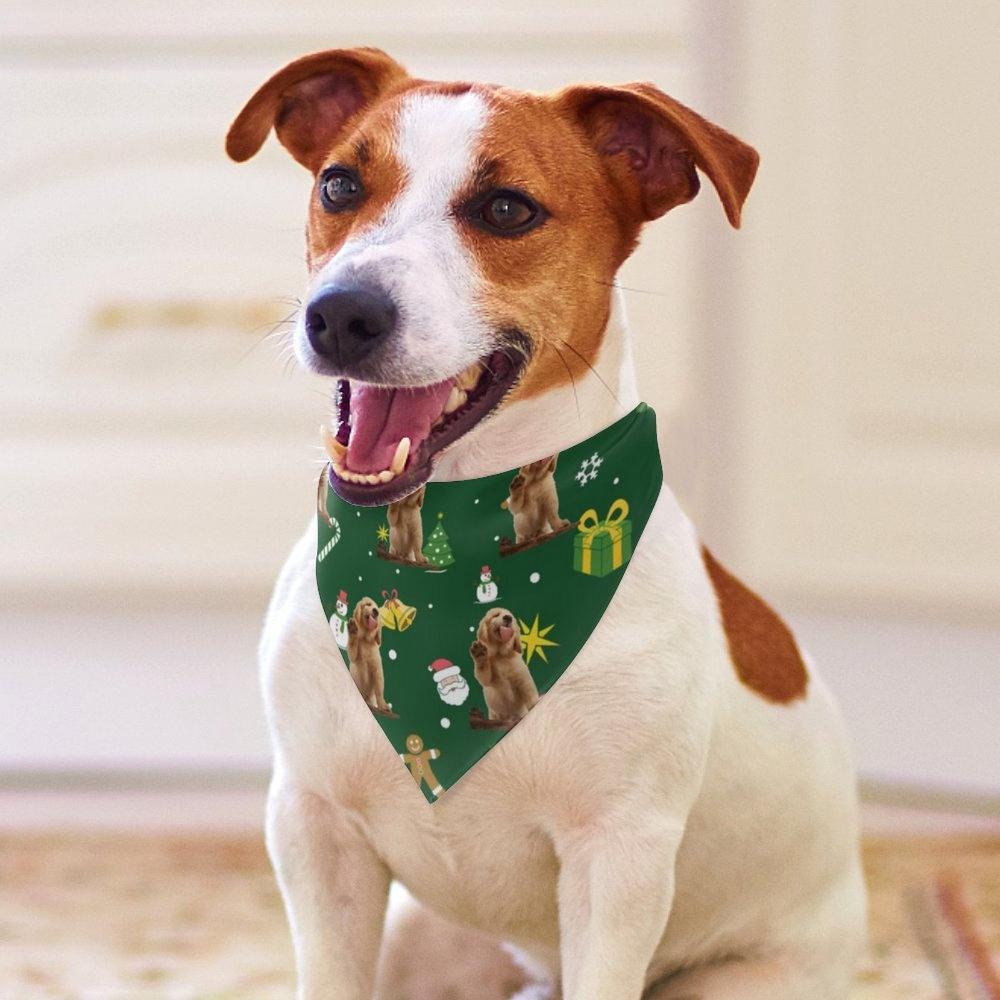 Custom Dog Bandana